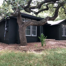 Modern Oak Tree Home - Side View